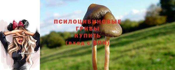 каннабис Горно-Алтайск