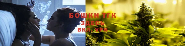 сатива Горнозаводск