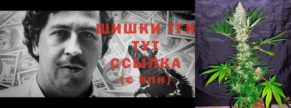 сатива Горнозаводск