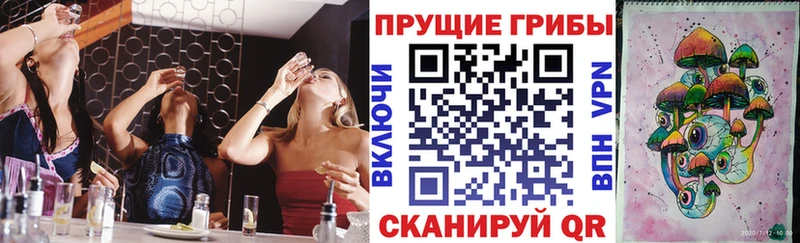 Купить  Артёмовский  Псилоцибиновые грибы Psilocybe 